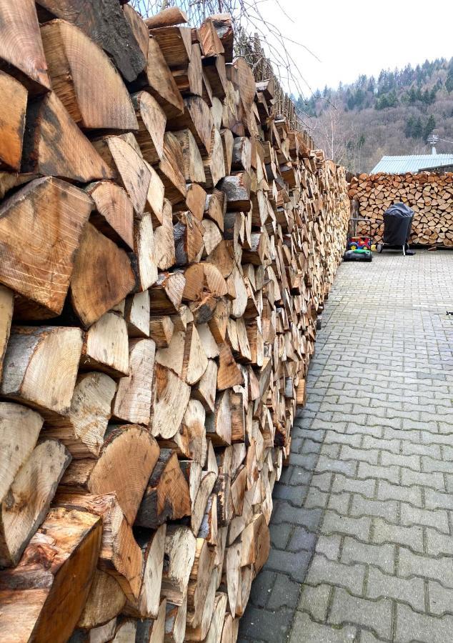 Willa Ewa Krynica Zdroj Dış mekan fotoğraf